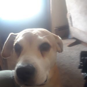 Meet your Posher, Ann